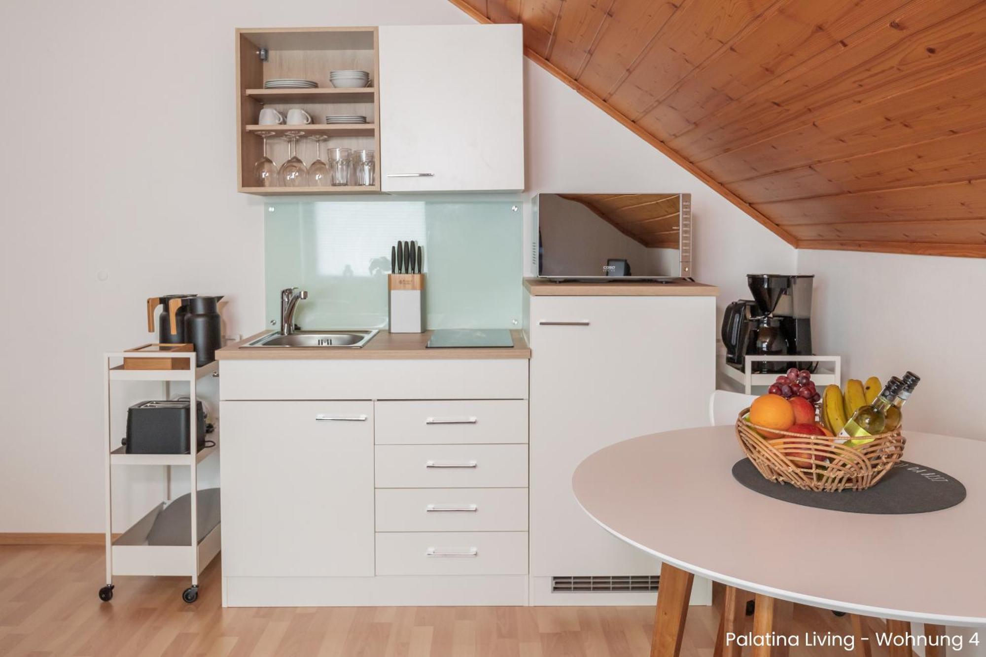 Palatina Living Apartment Fischbach bei Dahn Exterior photo