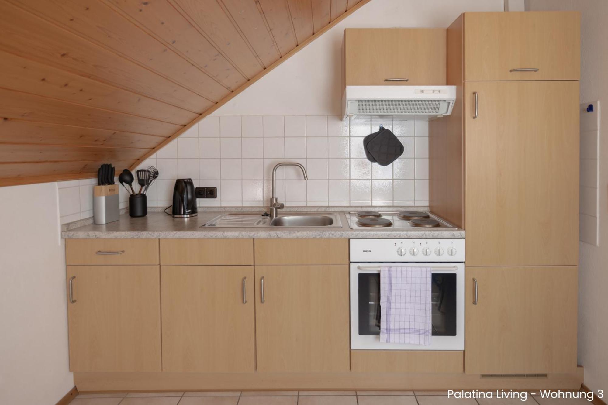 Palatina Living Apartment Fischbach bei Dahn Exterior photo
